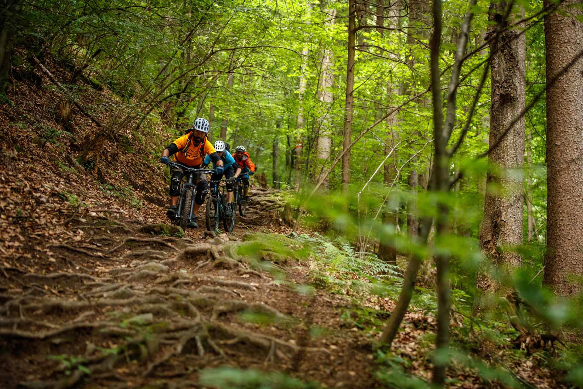 03_hotel_lindenhof_mountainbike_sternentrail