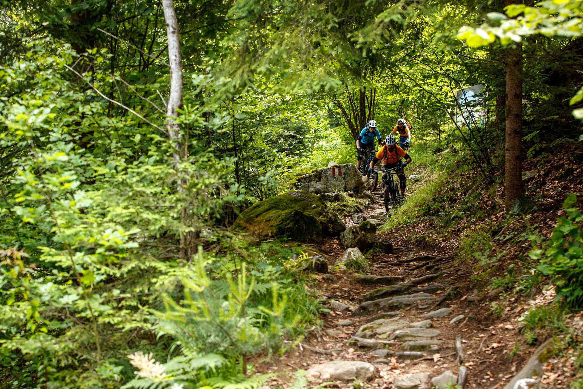 03_hotel_lindenhof_mountainbike_sternentrail_biker